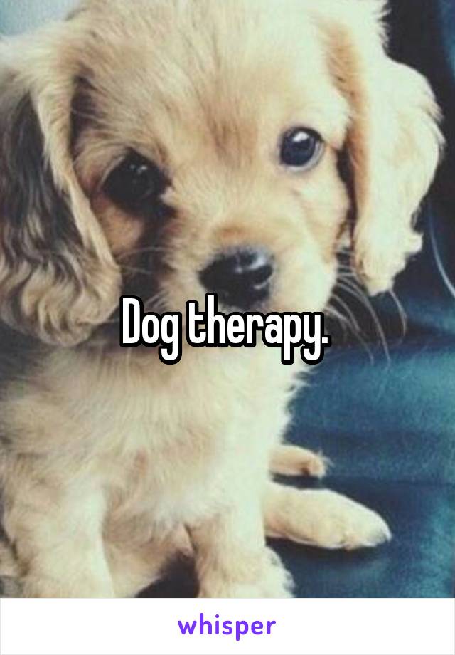 Dog therapy. 