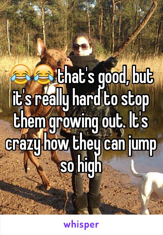 😂😂 that's good, but it's really hard to stop them growing out. It's crazy how they can jump so high 