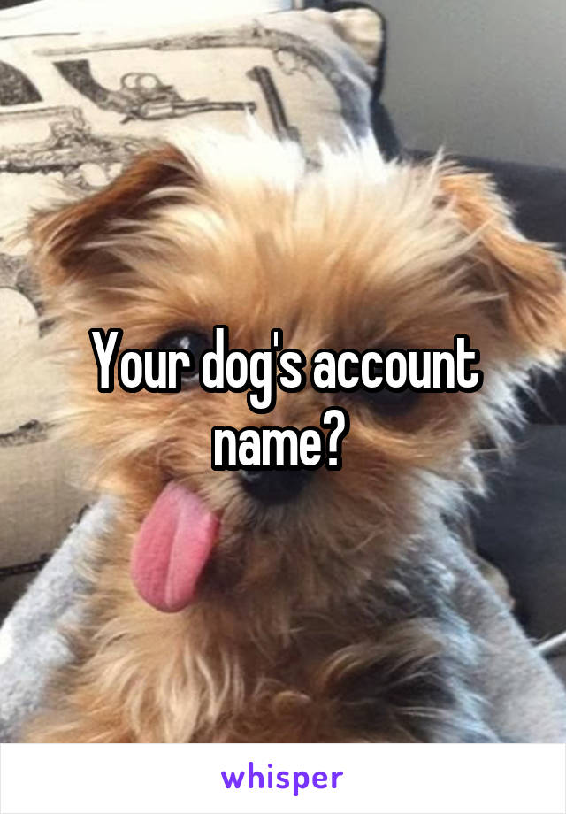 Your dog's account name? 