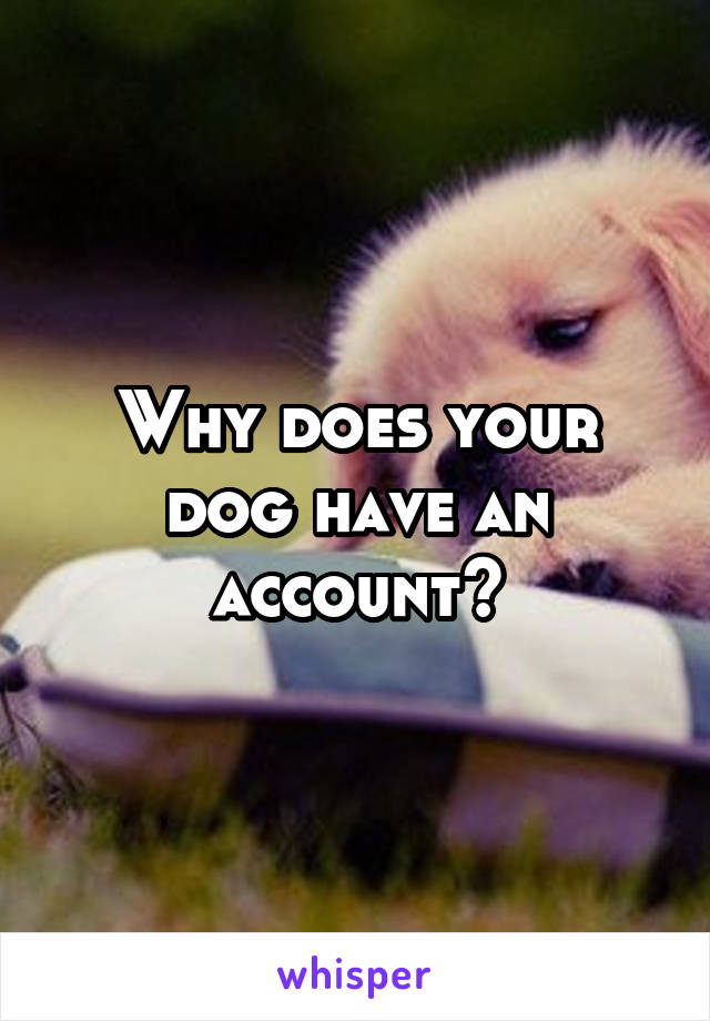 Why does your dog have an account?