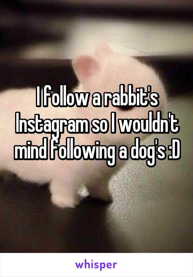 I follow a rabbit's Instagram so I wouldn't mind following a dog's :D 