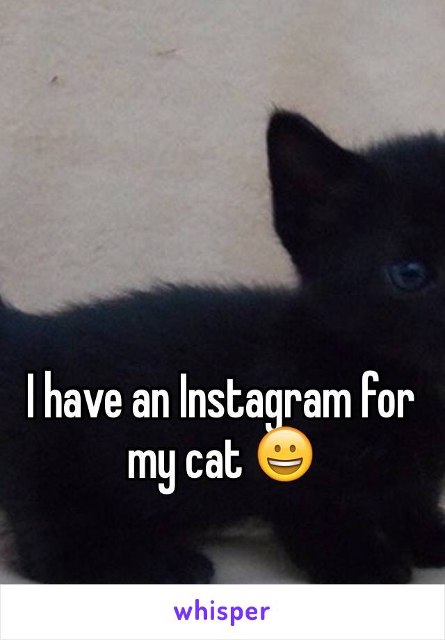 I have an Instagram for my cat 😀