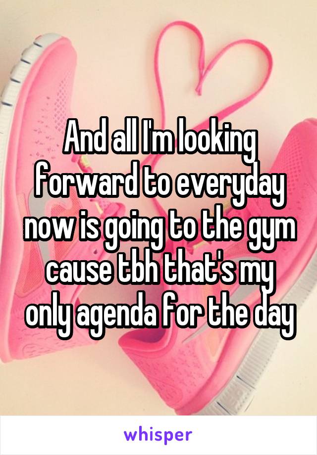 And all I'm looking forward to everyday now is going to the gym cause tbh that's my only agenda for the day