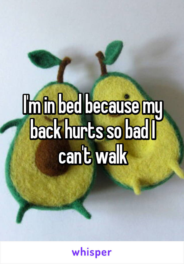 I'm in bed because my back hurts so bad I can't walk