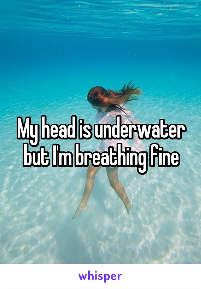 My head is underwater but I'm breathing fine