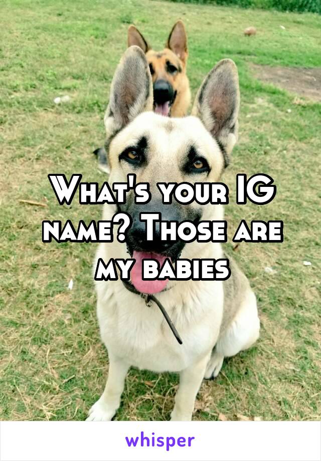 What's your IG name? Those are my babies