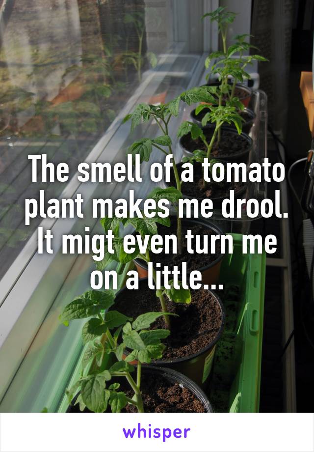 The smell of a tomato plant makes me drool. It migt even turn me on a little...