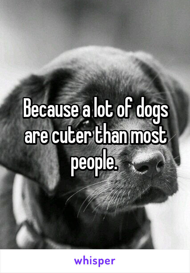 Because a lot of dogs are cuter than most people. 