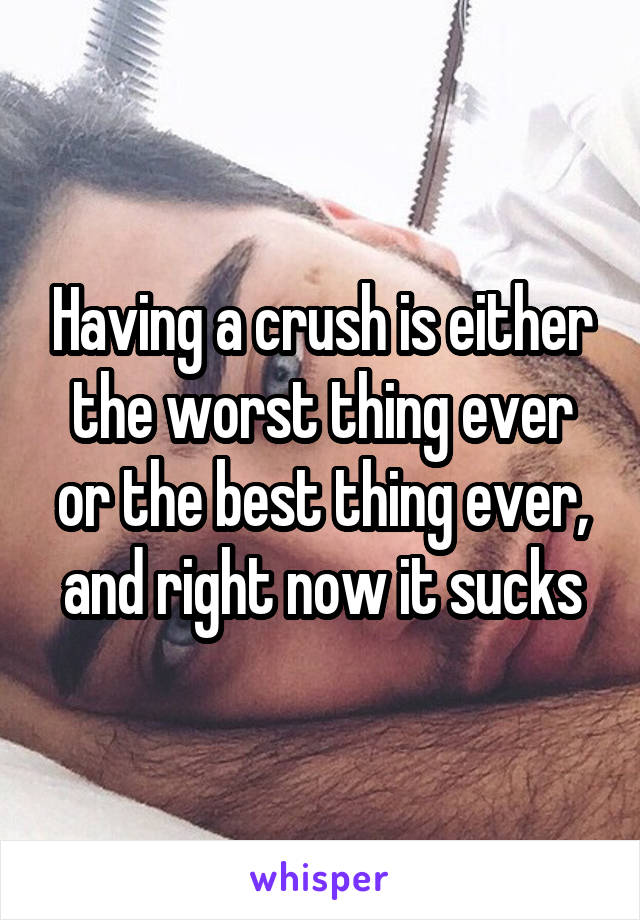 Having a crush is either the worst thing ever or the best thing ever, and right now it sucks