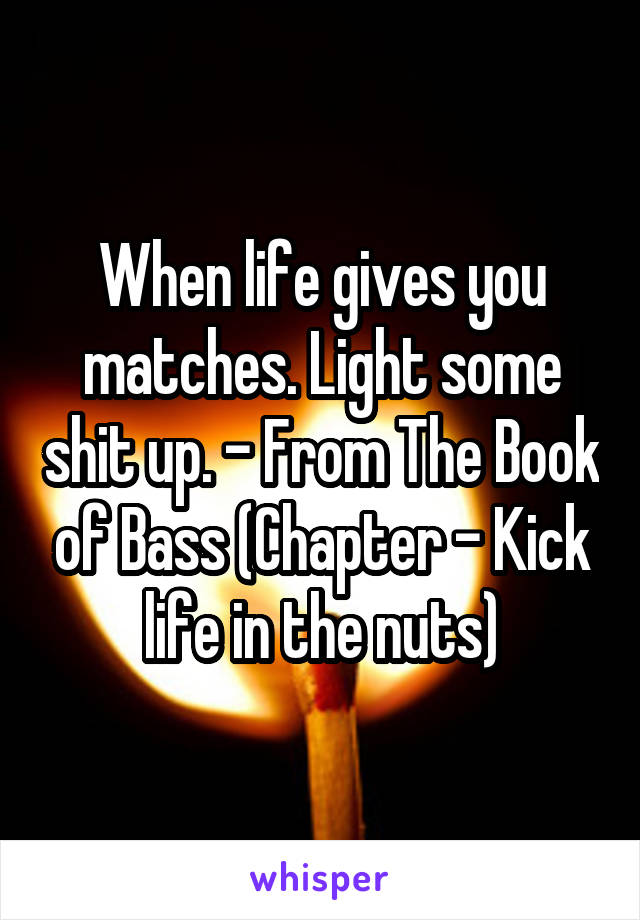 When life gives you matches. Light some shit up. - From The Book of Bass (Chapter - Kick life in the nuts)