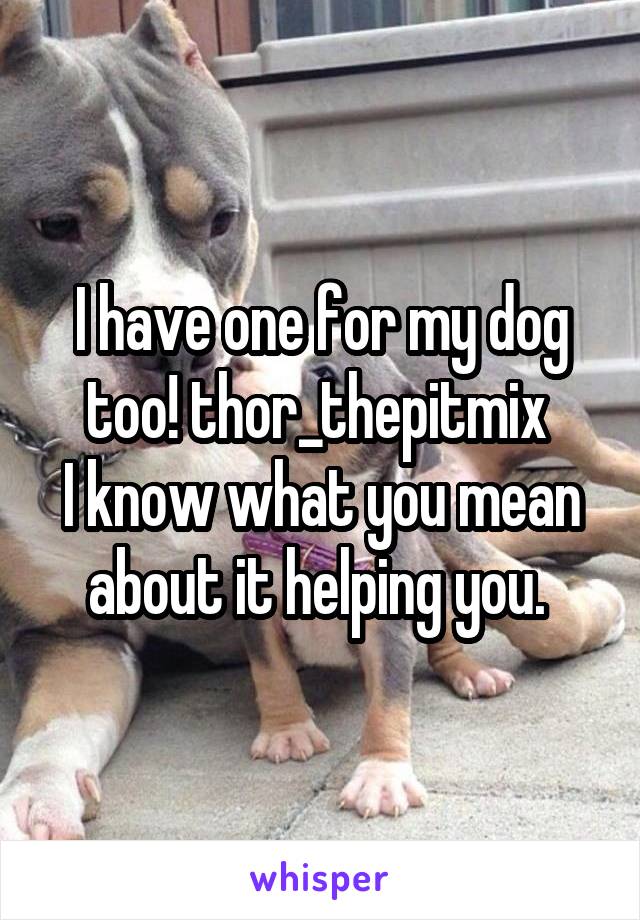 I have one for my dog too! thor_thepitmix 
I know what you mean about it helping you. 