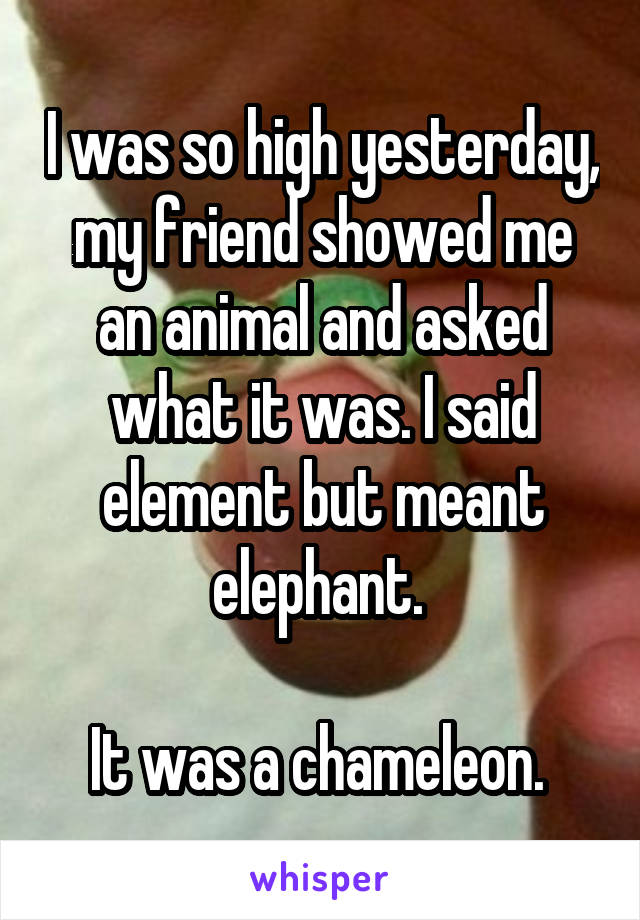 I was so high yesterday, my friend showed me an animal and asked what it was. I said element but meant elephant. 

It was a chameleon. 