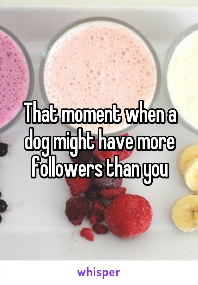 That moment when a dog might have more followers than you