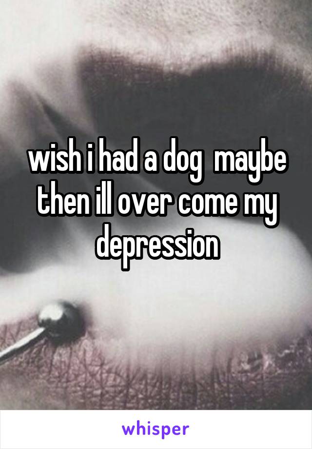 wish i had a dog  maybe then ill over come my depression
