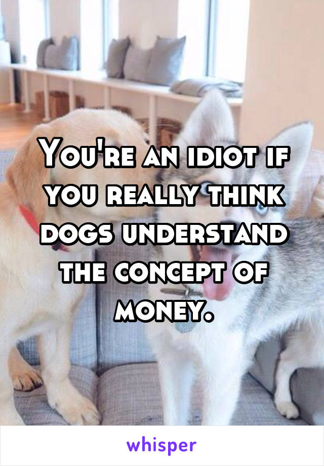 You're an idiot if you really think dogs understand the concept of money.