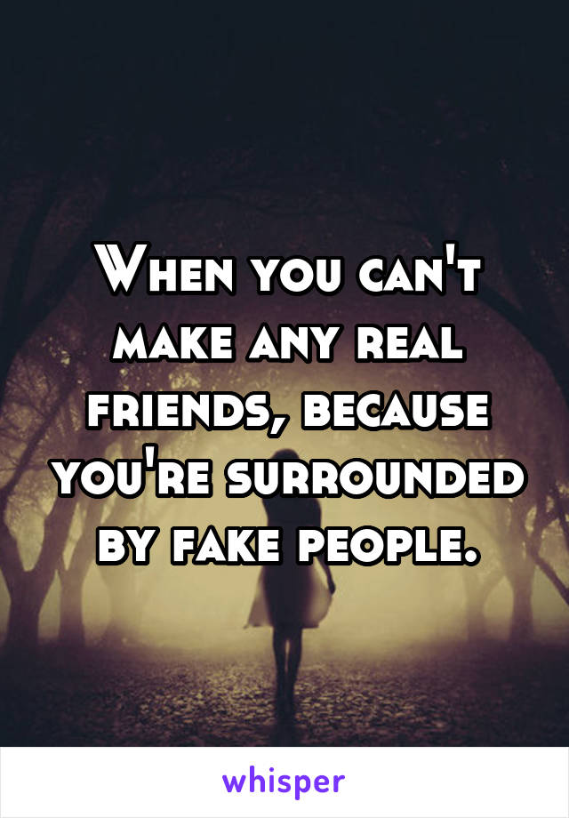 When you can't make any real friends, because you're surrounded by fake people.