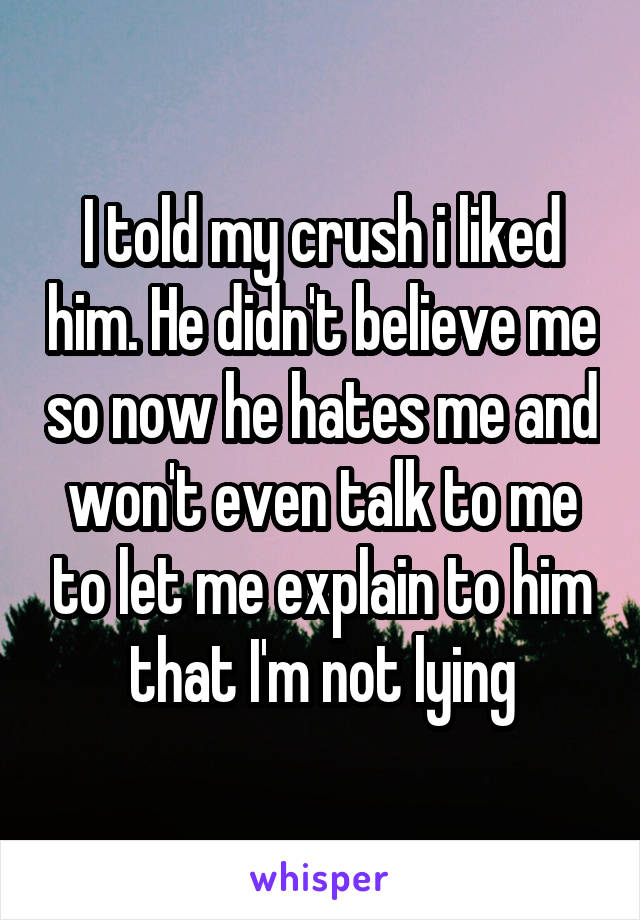 I told my crush i liked him. He didn't believe me so now he hates me and won't even talk to me to let me explain to him that I'm not lying