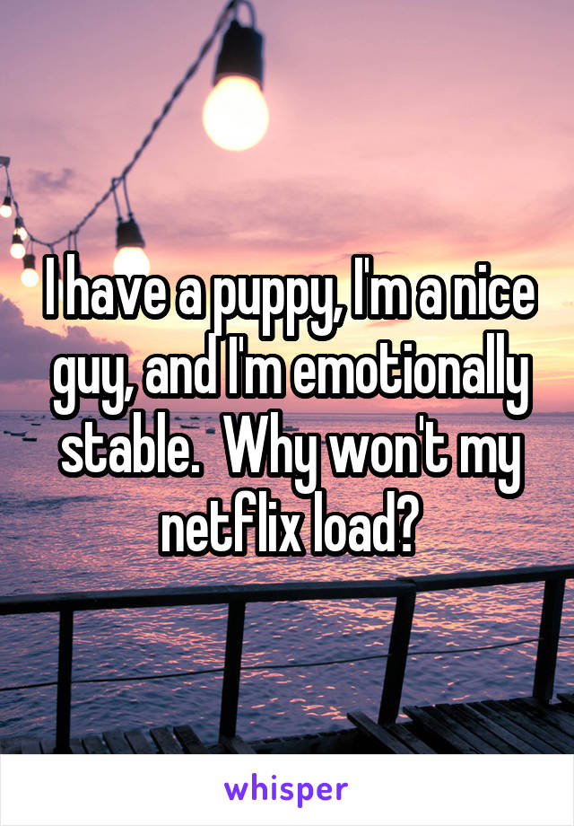 I have a puppy, I'm a nice guy, and I'm emotionally stable.  Why won't my netflix load?