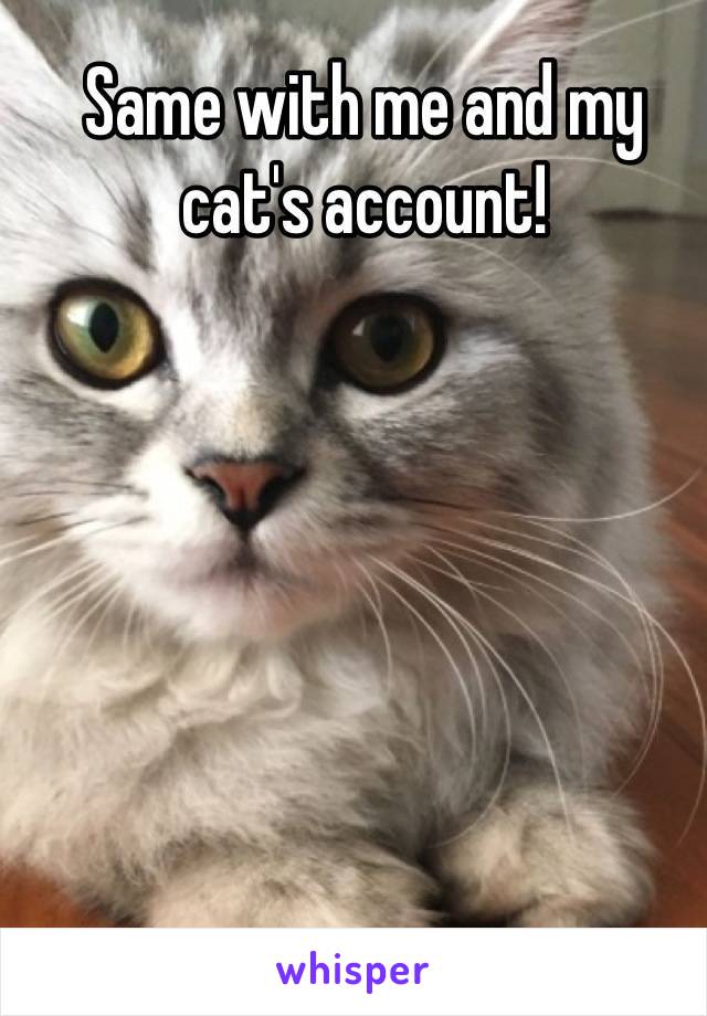 Same with me and my cat's account!