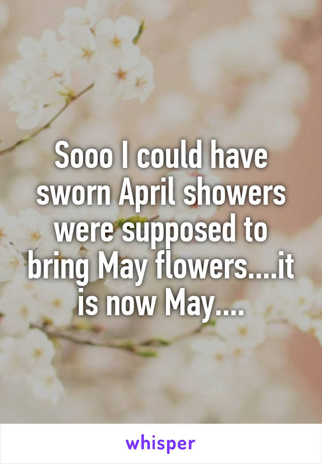 Sooo I could have sworn April showers were supposed to bring May flowers....it is now May....