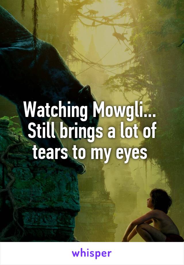 Watching Mowgli... 
Still brings a lot of tears to my eyes 