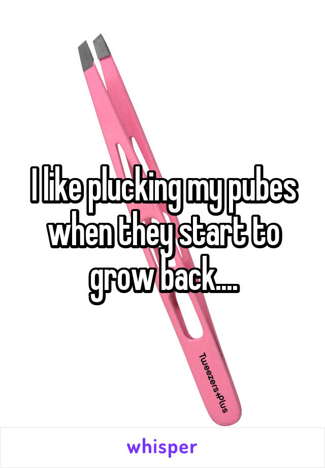 I like plucking my pubes when they start to grow back....