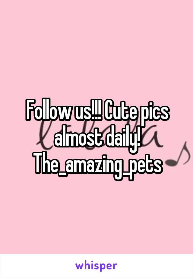 Follow us!!! Cute pics almost daily!
The_amazing_pets