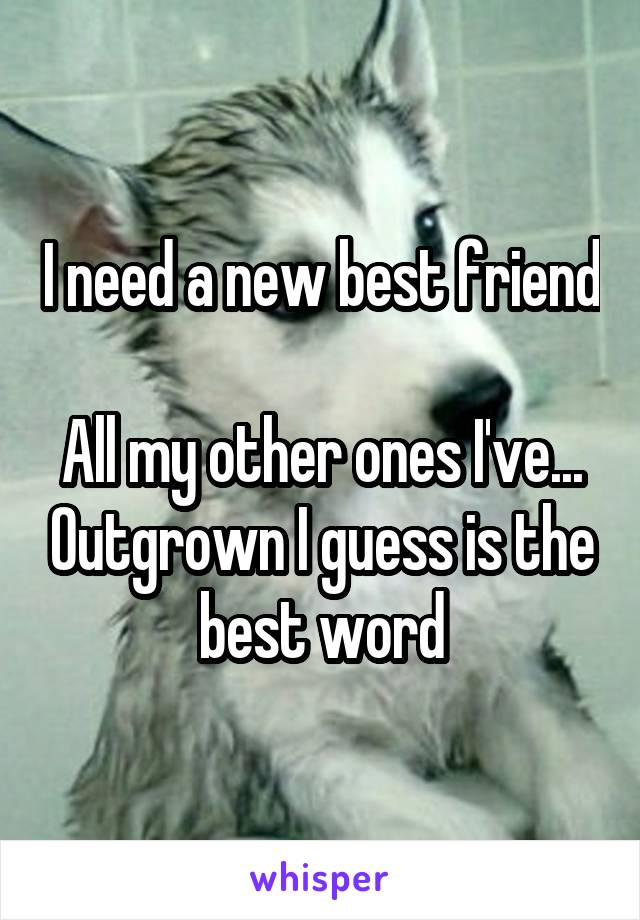 I need a new best friend

All my other ones I've... Outgrown I guess is the best word