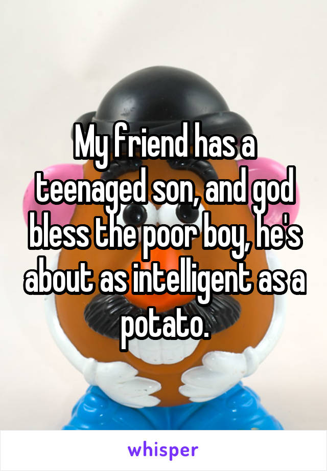 My friend has a teenaged son, and god bless the poor boy, he's about as intelligent as a potato.