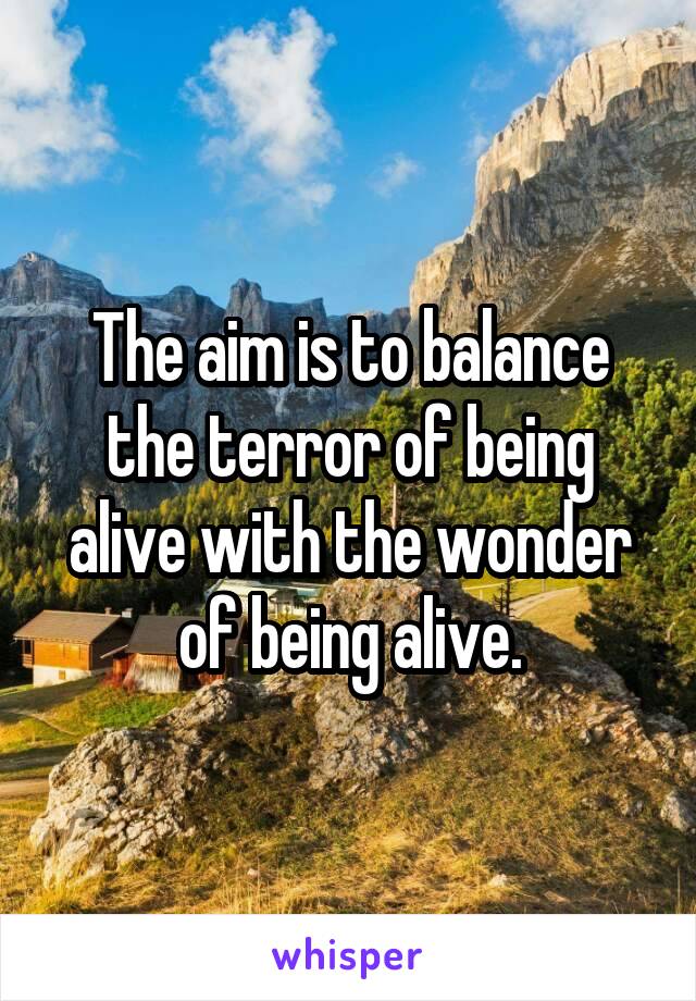 The aim is to balance the terror of being alive with the wonder of being alive.