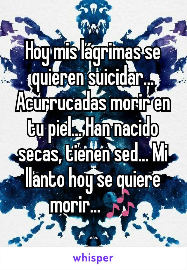 Hoy mis lágrimas se quieren suicidar... Acurrucadas morir en tu piel... Han nacido secas, tienen sed... Mi llanto hoy se quiere morir... 🎶