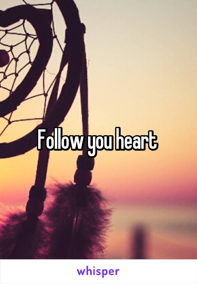 Follow you heart 