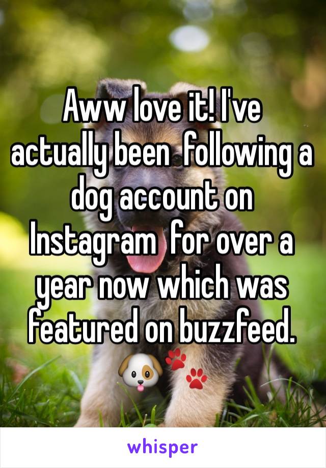 Aww love it! I've  actually been  following a dog account on Instagram  for over a year now which was featured on buzzfeed. 🐶🐾