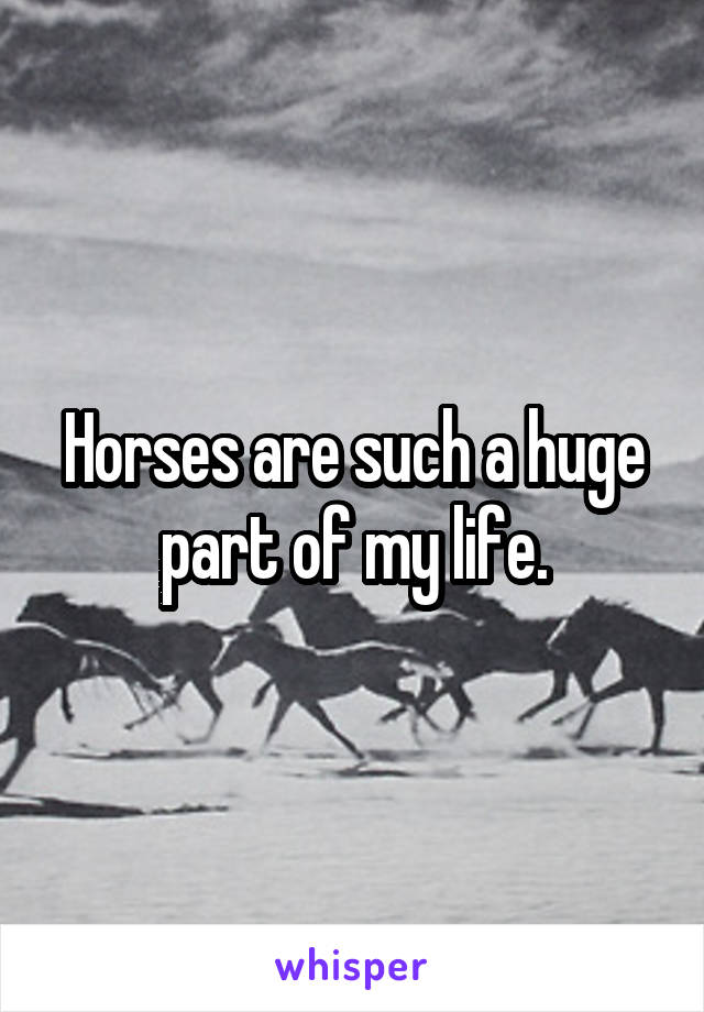 Horses are such a huge part of my life.