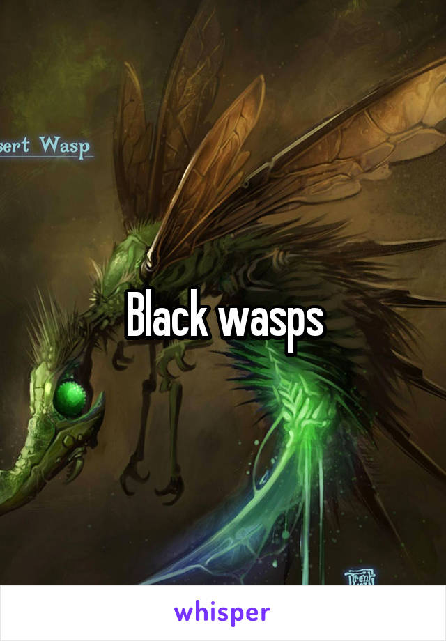 Black wasps