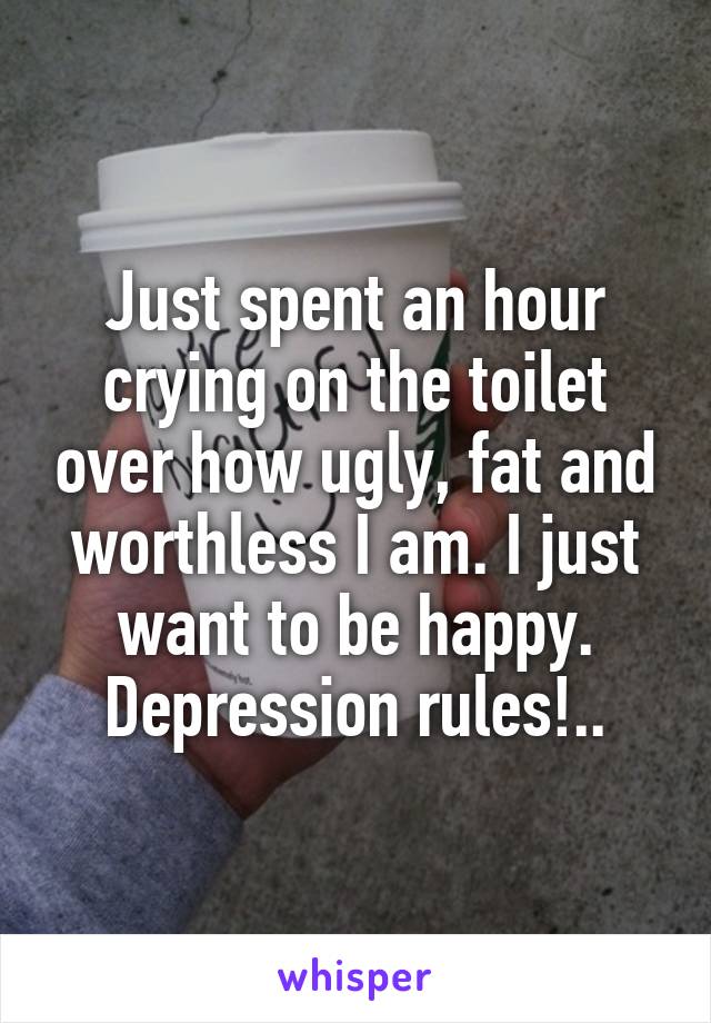 Just spent an hour crying on the toilet over how ugly, fat and worthless I am. I just want to be happy. Depression rules!..