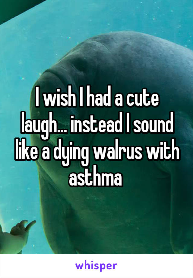 I wish I had a cute laugh... instead I sound like a dying walrus with asthma 