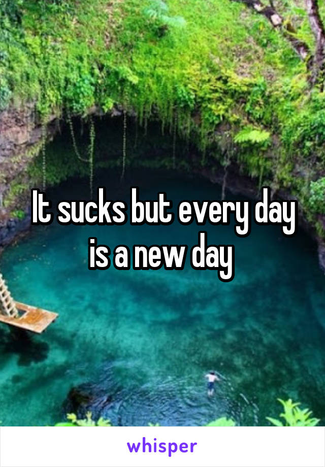 It sucks but every day is a new day 