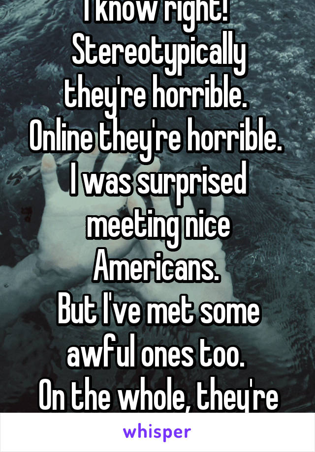 I know right! 
Stereotypically they're horrible. 
Online they're horrible. 
I was surprised meeting nice Americans. 
But I've met some awful ones too. 
On the whole, they're not so great...