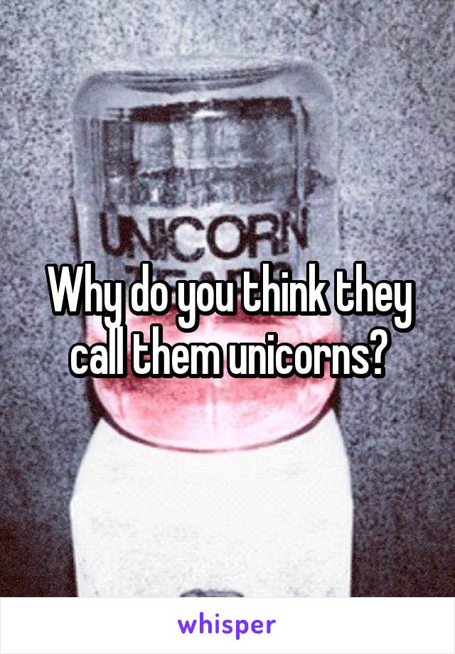 Why do you think they call them unicorns?