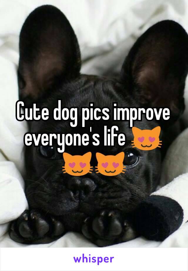 Cute dog pics improve everyone's life 😻😻😻