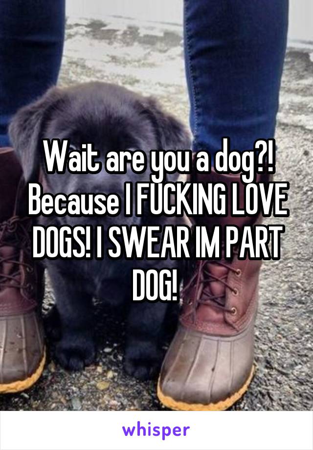 Wait are you a dog?! Because I FUCKING LOVE DOGS! I SWEAR IM PART DOG! 