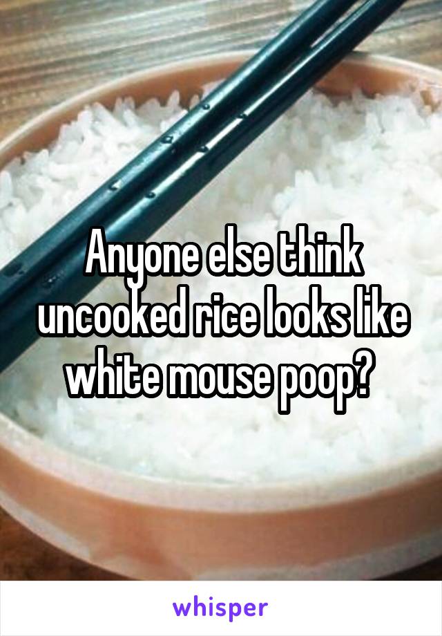 Anyone else think uncooked rice looks like white mouse poop? 