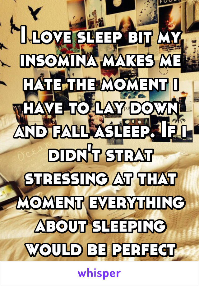 I love sleep bit my insomina makes me hate the moment i have to lay down and fall asleep. If i didn't strat stressing at that moment everything about sleeping would be perfect