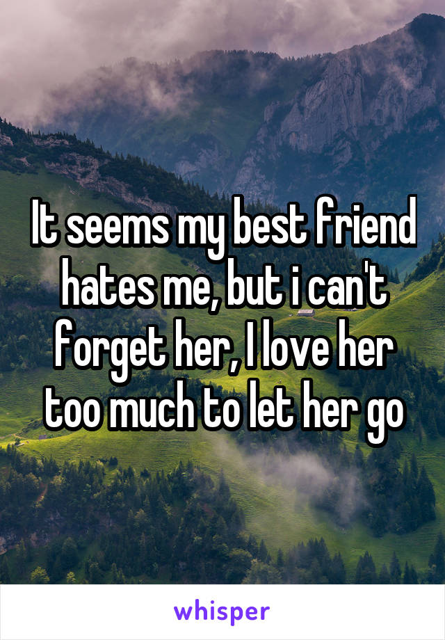 It seems my best friend hates me, but i can't forget her, I love her too much to let her go