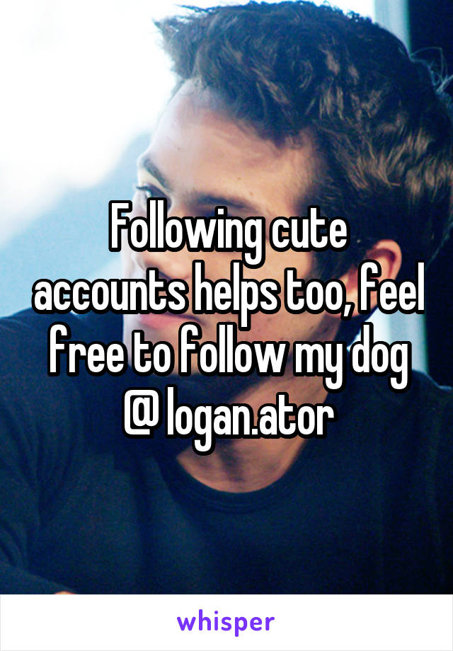 Following cute accounts helps too, feel free to follow my dog @ logan.ator