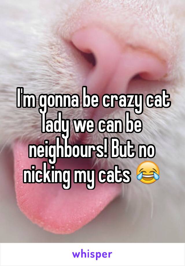  I'm gonna be crazy cat lady we can be neighbours! But no nicking my cats 😂