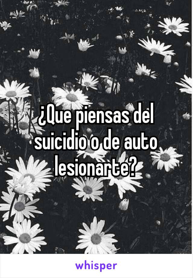 ¿Que piensas del suicidio o de auto lesionarte?