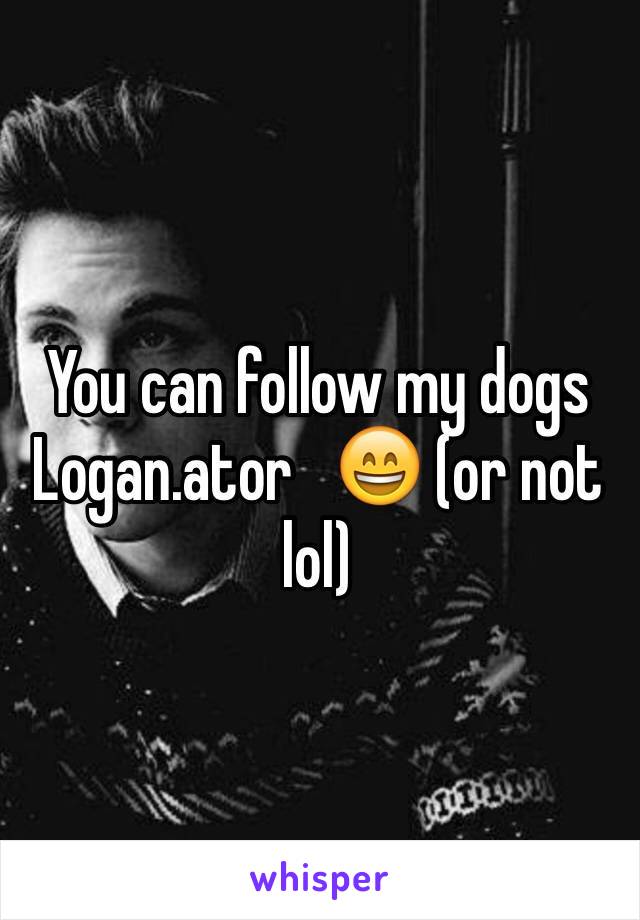 You can follow my dogs Logan.ator   😄 (or not lol) 