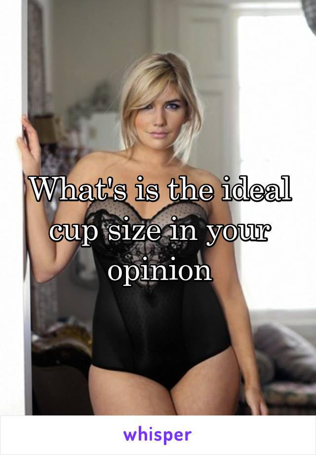 What's is the ideal cup size in your opinion